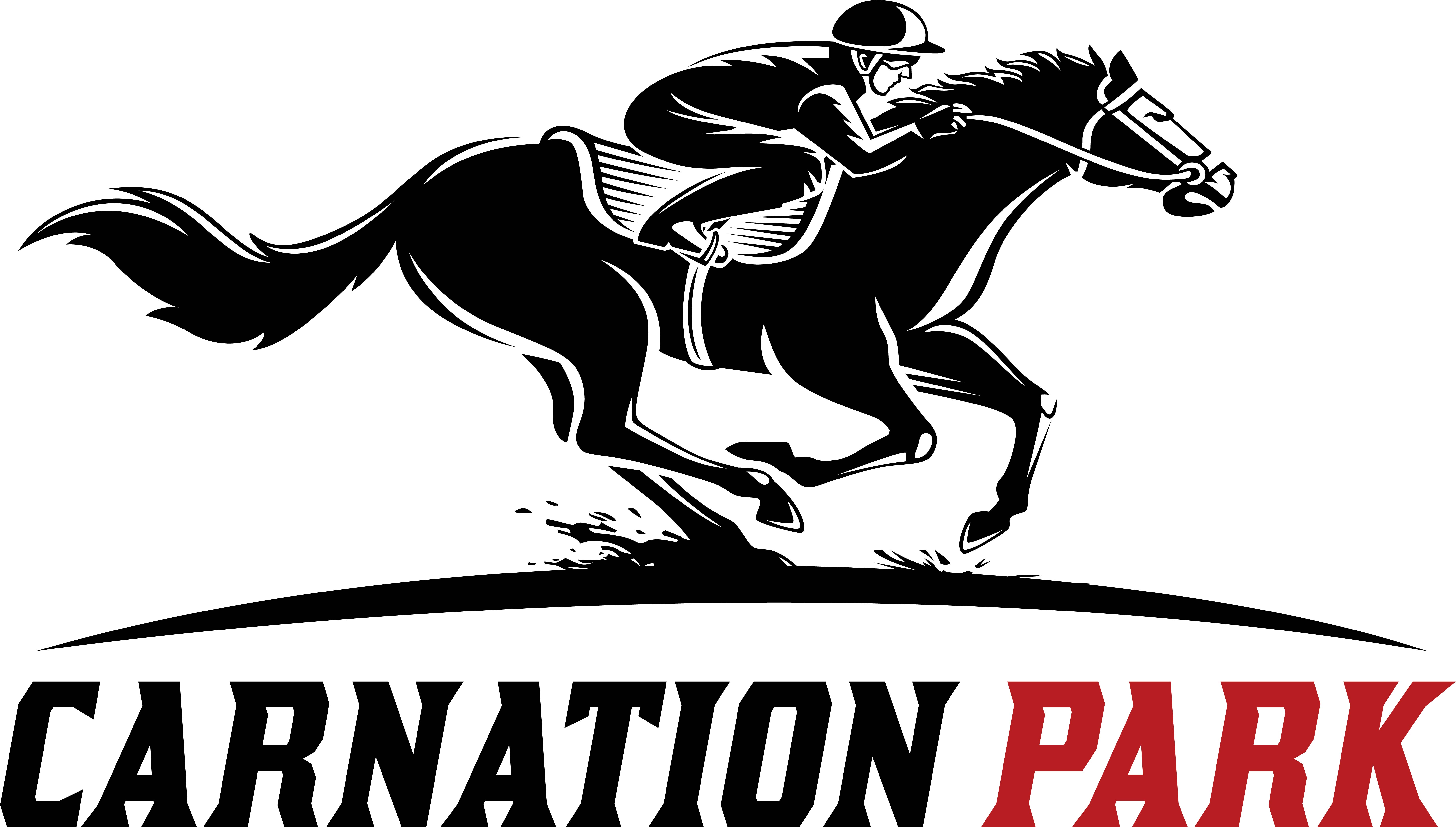logo-design